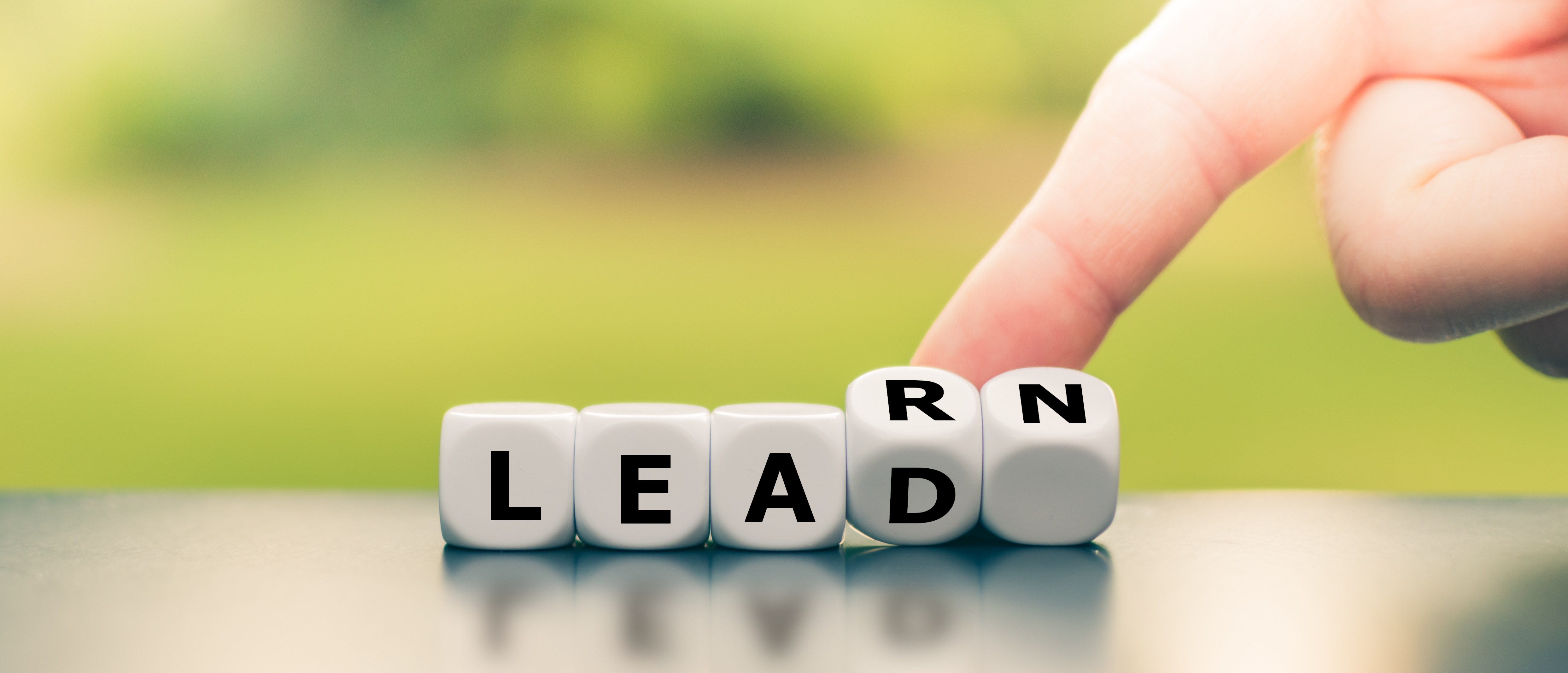 Dice form the words learn and lead Dice form the words learn and lead